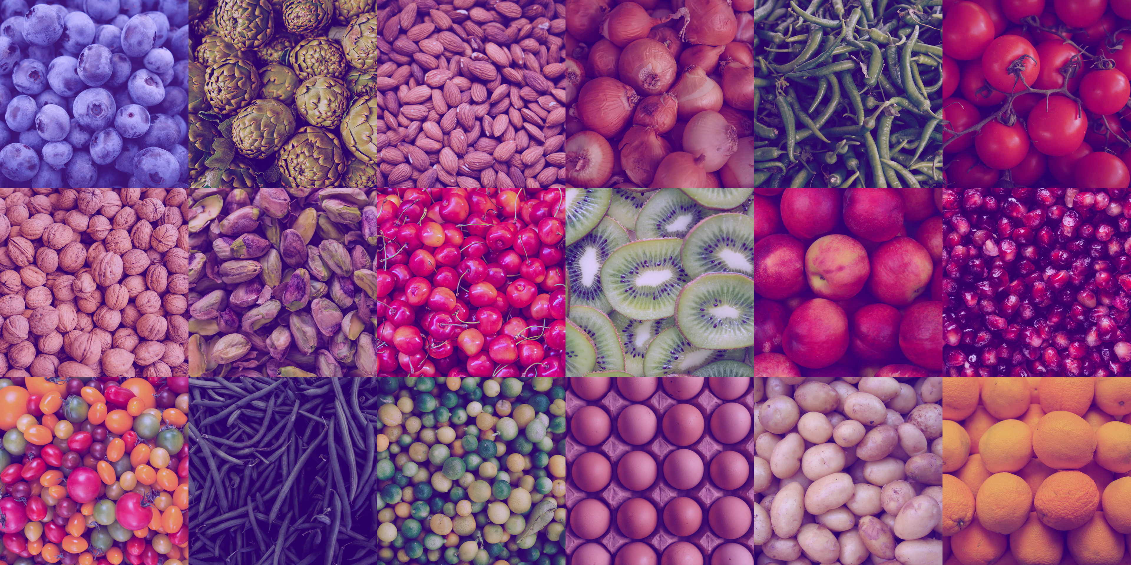 gini-foods-grid_g